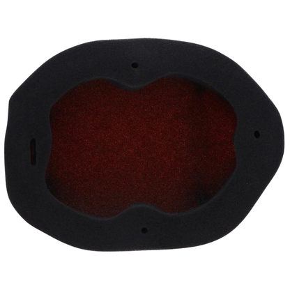 TWIN AIR POWERFLOW AIR FILTER KAWASAKI KX450F/KX450X 24-25